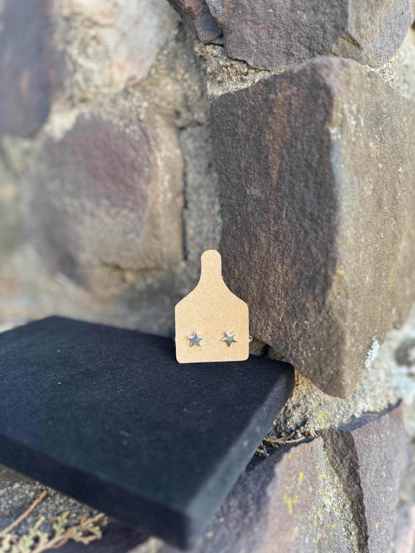 Star Post Earrings